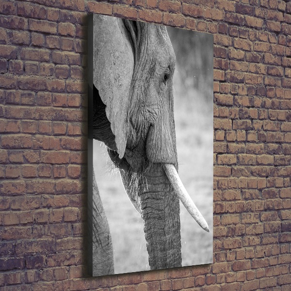 Fotografía en lienzo vertical Elefante