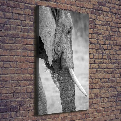 Fotografía en lienzo vertical Elefante