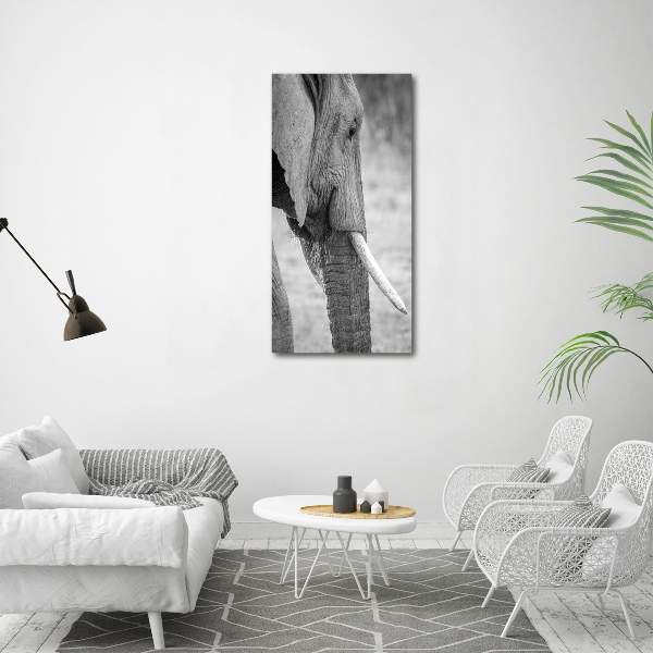 Fotografía en lienzo vertical Elefante