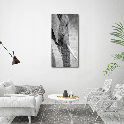 Fotografía en lienzo vertical Elefante