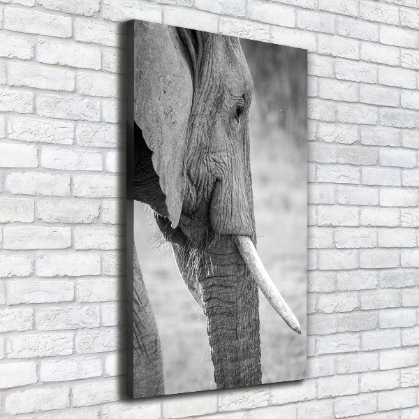 Fotografía en lienzo vertical Elefante