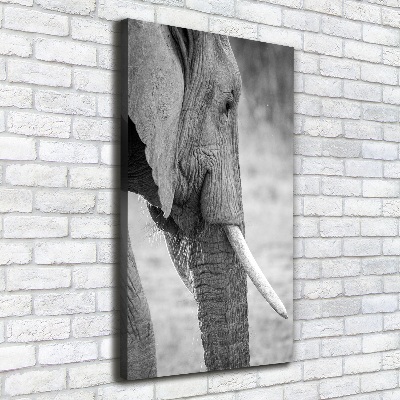 Fotografía en lienzo vertical Elefante