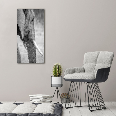 Fotografía en lienzo vertical Elefante