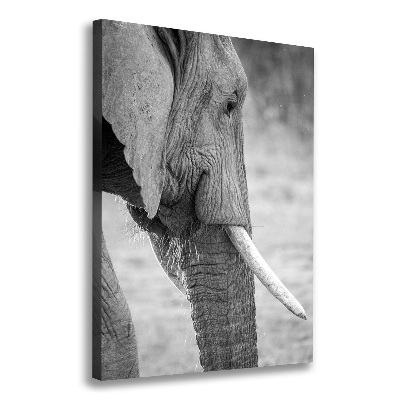Fotografía en lienzo vertical Elefante