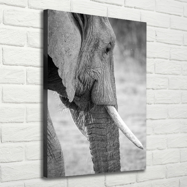 Fotografía en lienzo vertical Elefante