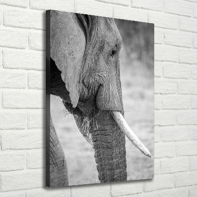 Fotografía en lienzo vertical Elefante