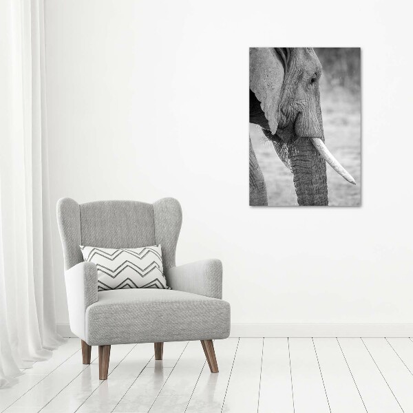 Fotografía en lienzo vertical Elefante