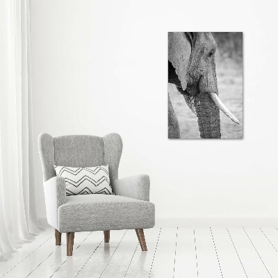Fotografía en lienzo vertical Elefante