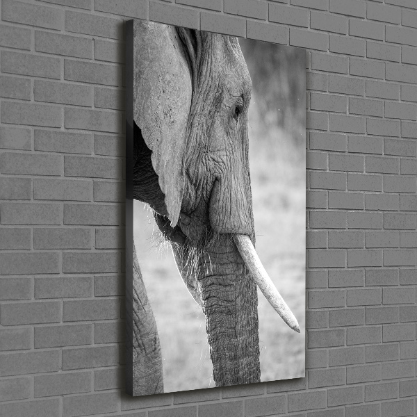 Fotografía en lienzo vertical Elefante