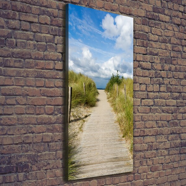 Cuadro canvas decorativo para salón vertical Camino a la playa