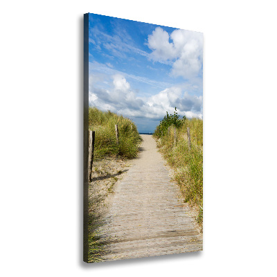 Cuadro canvas decorativo para salón vertical Camino a la playa