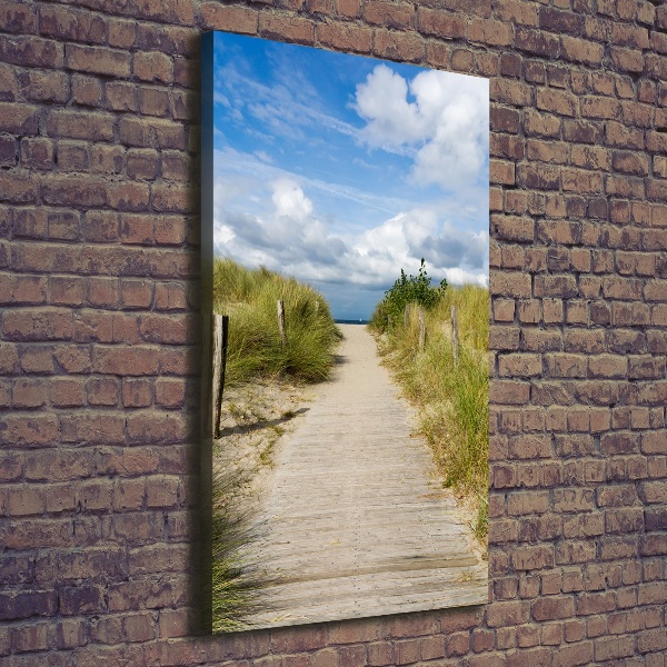 Cuadro canvas decorativo para salón vertical Camino a la playa
