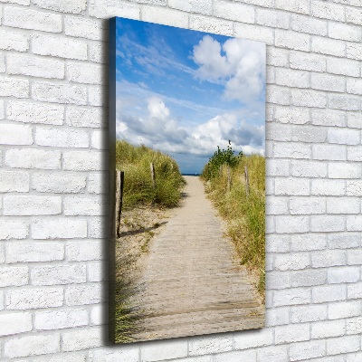 Cuadro canvas decorativo para salón vertical Camino a la playa