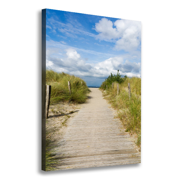 Cuadro canvas decorativo para salón vertical Camino a la playa