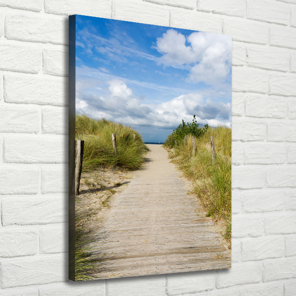 Cuadro canvas decorativo para salón vertical Camino a la playa