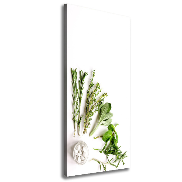 Cuadro canvas decorativo para salón vertical Hierbas