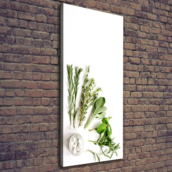 Cuadro canvas decorativo para salón vertical Hierbas