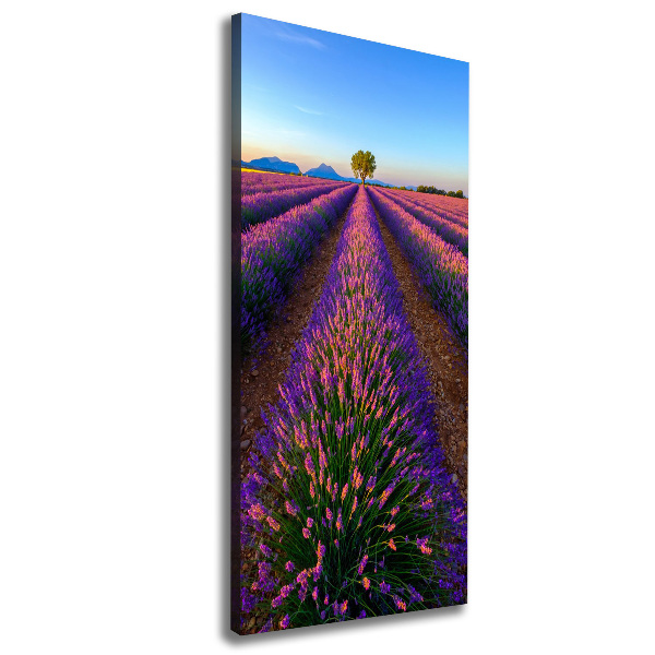 Cuadro moderno en lienzo resistente uv vertical campo de lavanda