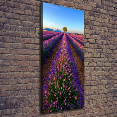 Cuadro moderno en lienzo resistente uv vertical campo de lavanda