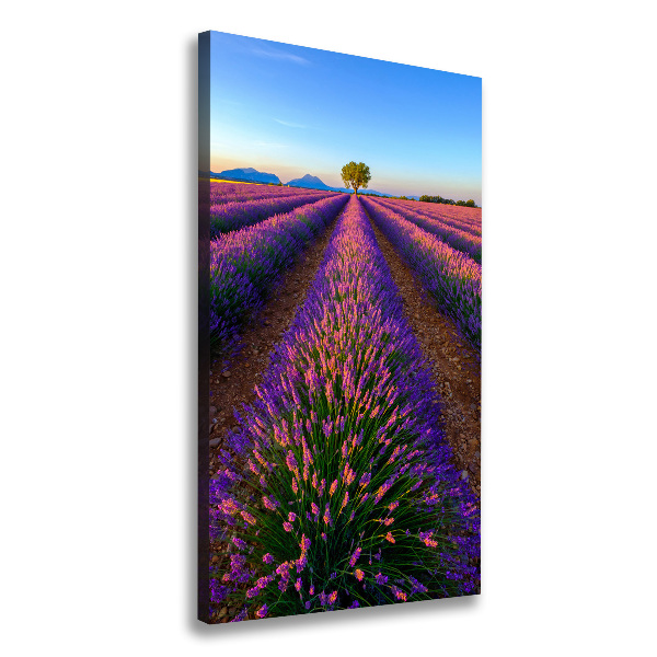 Cuadro moderno en lienzo resistente uv vertical campo de lavanda