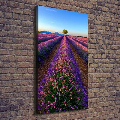 Cuadro moderno en lienzo resistente uv vertical campo de lavanda