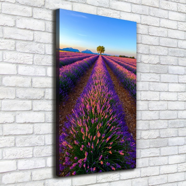 Cuadro moderno en lienzo resistente uv vertical campo de lavanda