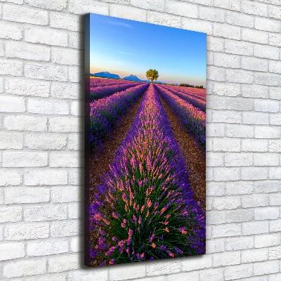 Cuadro moderno en lienzo resistente uv vertical campo de lavanda