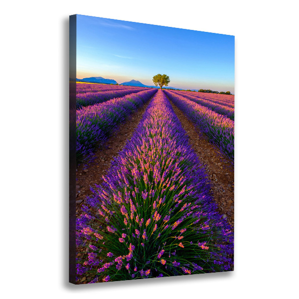 Cuadro moderno en lienzo resistente uv vertical campo de lavanda