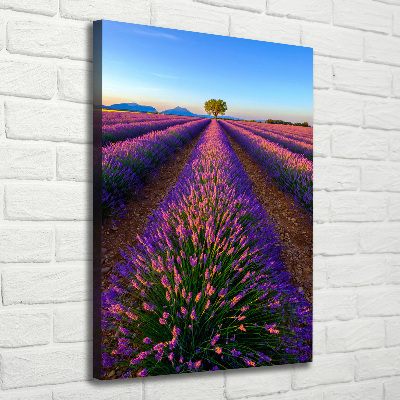 Cuadro moderno en lienzo resistente uv vertical campo de lavanda