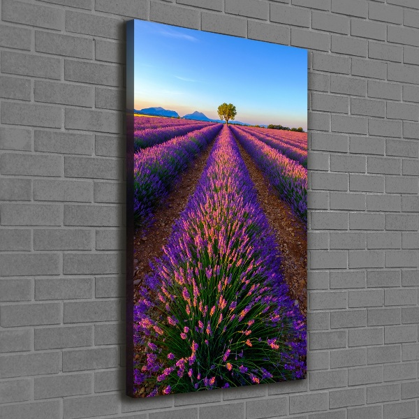 Cuadro moderno en lienzo resistente uv vertical campo de lavanda