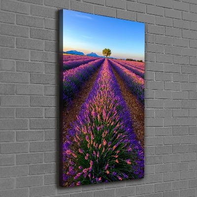 Cuadro moderno en lienzo resistente uv vertical campo de lavanda