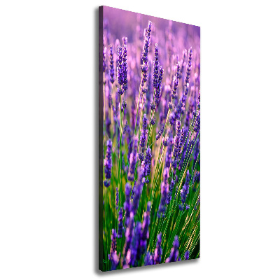 Cuadro moderno en lienzo resistente uv vertical campo de lavanda