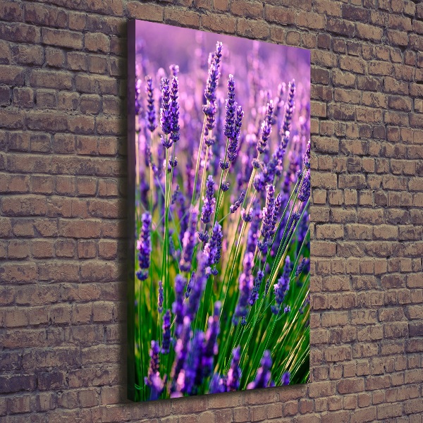 Cuadro moderno en lienzo resistente uv vertical campo de lavanda