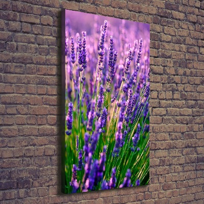 Cuadro moderno en lienzo resistente uv vertical campo de lavanda