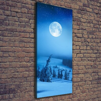 Fotografía en lienzo vertical Luna llena