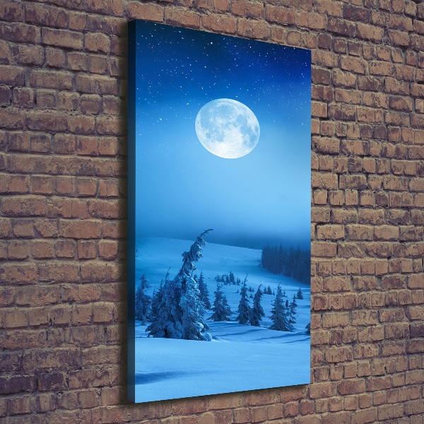 Fotografía en lienzo vertical Luna llena