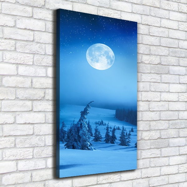 Fotografía en lienzo vertical Luna llena