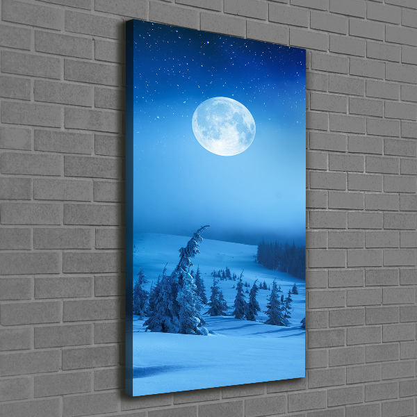 Fotografía en lienzo vertical Luna llena