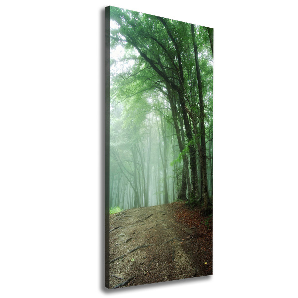 Cuadro canvas decorativo para salón vertical Niebla en el bosque