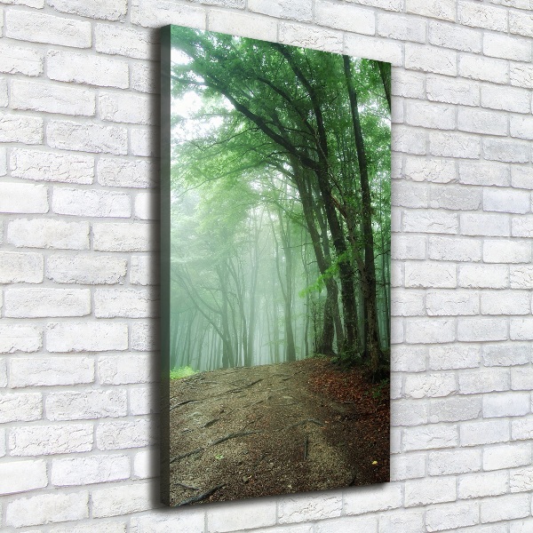 Cuadro canvas decorativo para salón vertical Niebla en el bosque