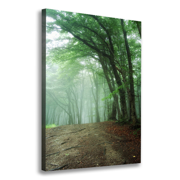Cuadro canvas decorativo para salón vertical Niebla en el bosque