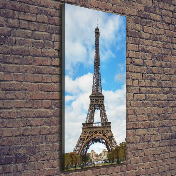 Cuadro canvas decorativo para salón vertical Torre Eiffel de París