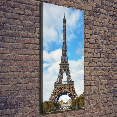 Cuadro canvas decorativo para salón vertical Torre Eiffel de París