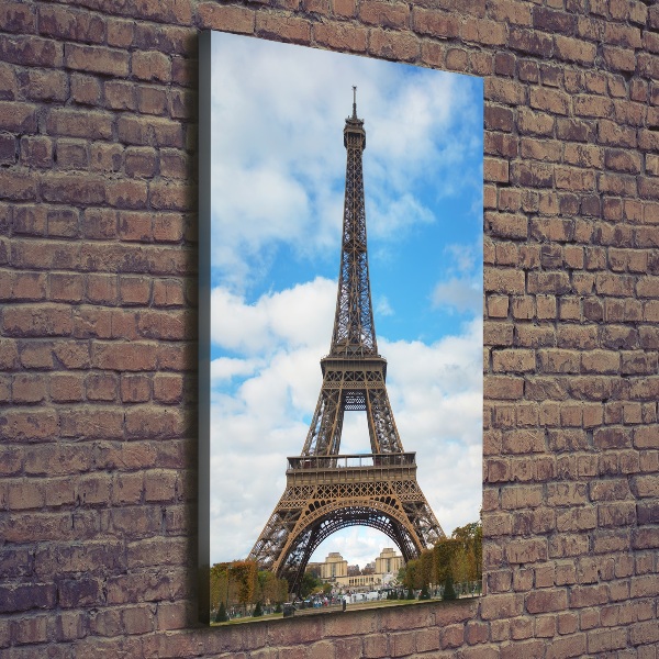 Cuadro canvas decorativo para salón vertical Torre Eiffel de París
