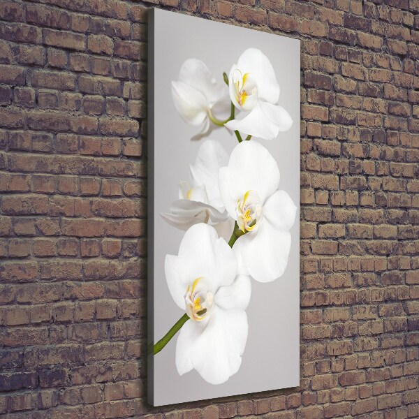 Cuadro canvas decorativo para salón vertical Orquídea blanca