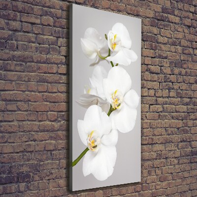 Cuadro canvas decorativo para salón vertical Orquídea blanca