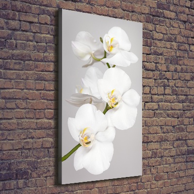 Cuadro canvas decorativo para salón vertical Orquídea blanca