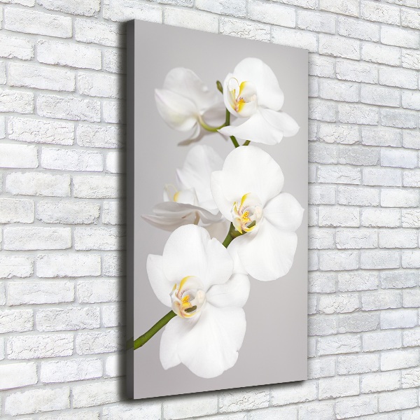 Cuadro canvas decorativo para salón vertical Orquídea blanca