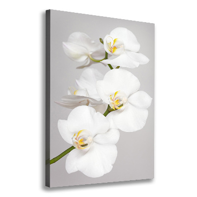 Cuadro canvas decorativo para salón vertical Orquídea blanca
