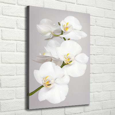Cuadro canvas decorativo para salón vertical Orquídea blanca
